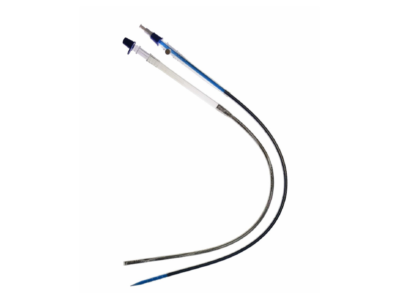Femoral Access Cannula